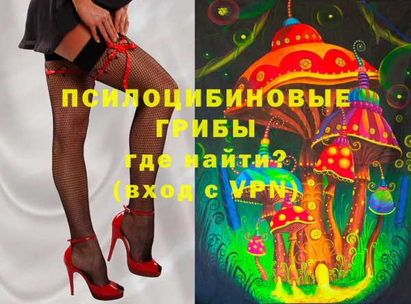 герыч Алексин