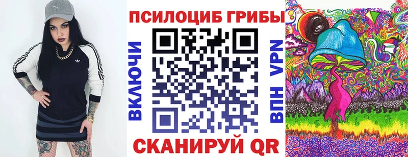 закладки Фокино Псилоцибиновые грибы GOLDEN TEACHER